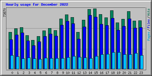 Hourly usage for December 2022